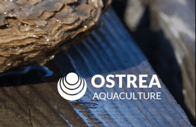 Investerarmemorandum Ostrea Aquaculture