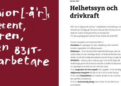 B3IT företagspresentation