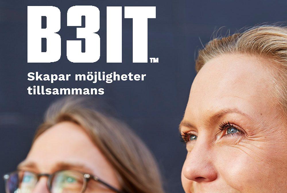 B3IT Årsredovisning 2017