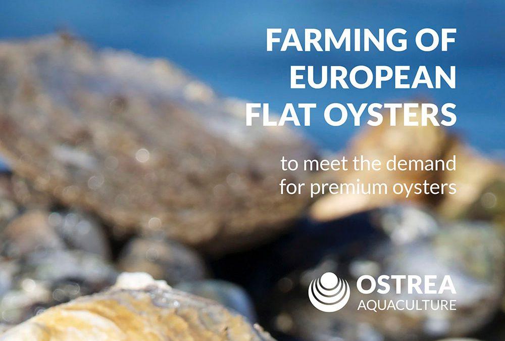 Investerarmemorandum Ostrea Aquaculture