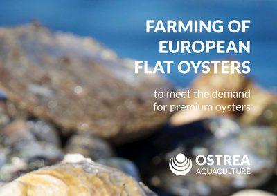 Investerarmemorandum Ostrea Aquaculture