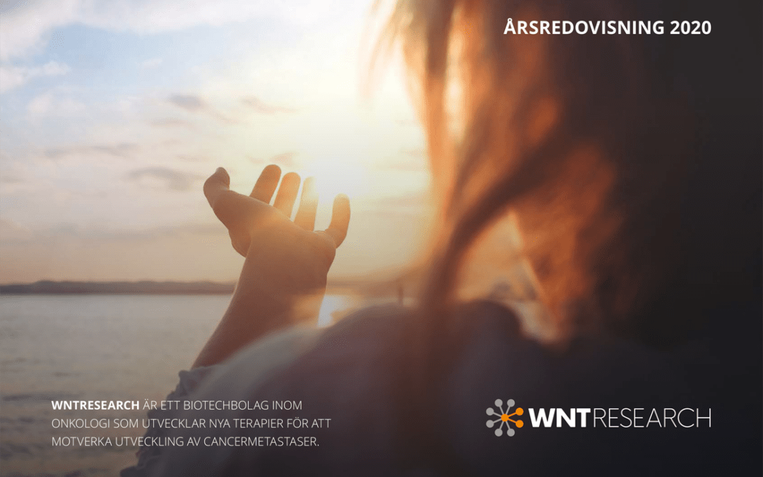 WntResearch Årsredovisning 2020