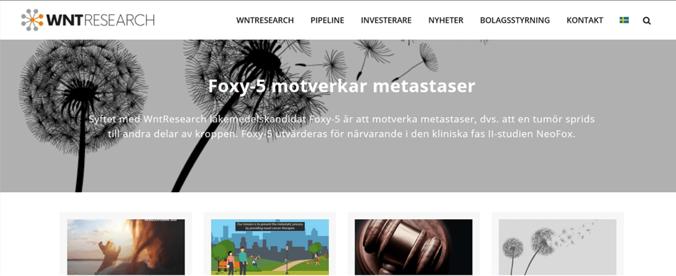 WNT hemsida stakeholder